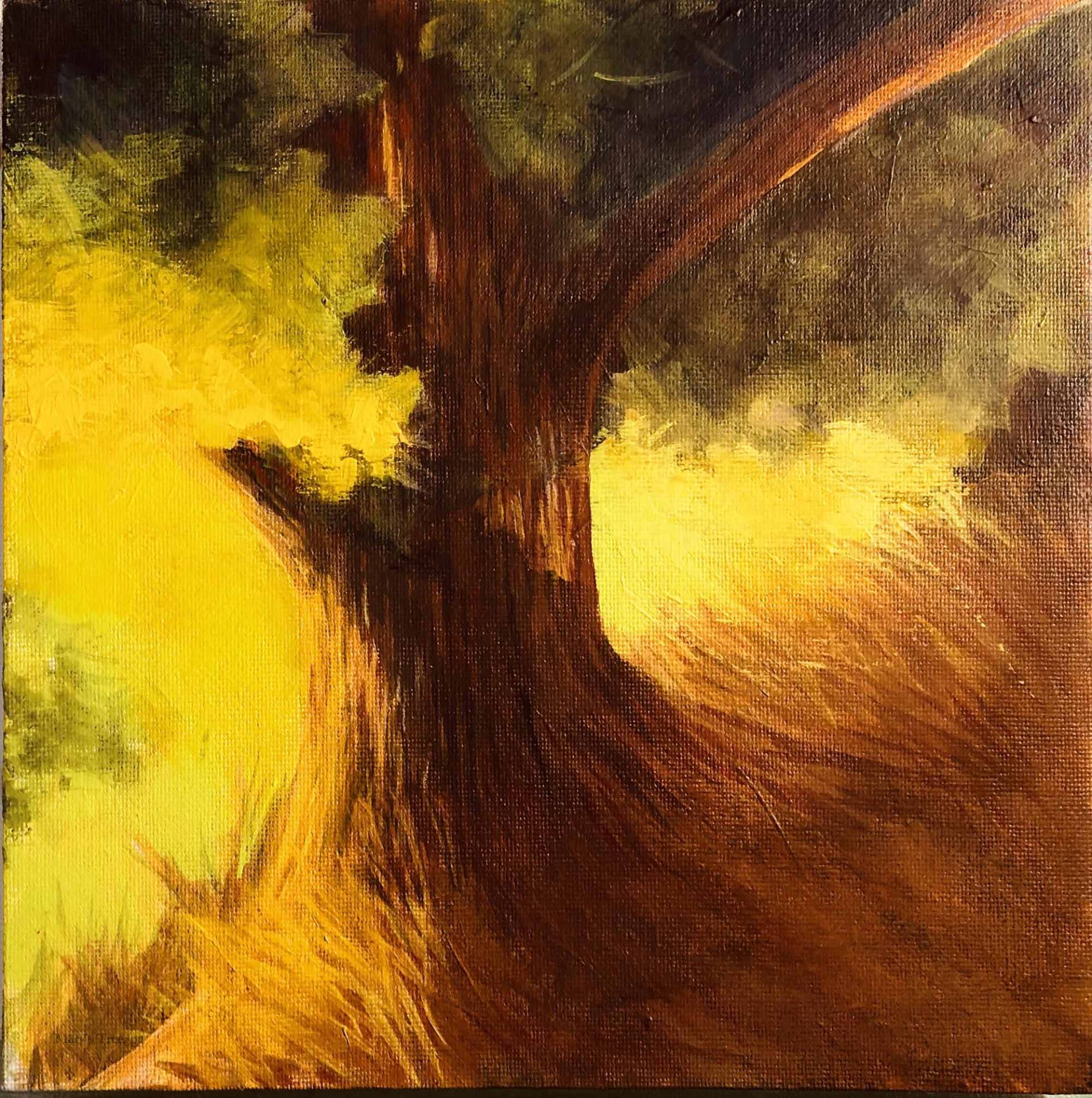 dramitic light on a tree trunk painting by karen PhillipsCurran